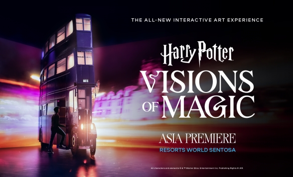 ビジョンズ・オブ・マジック　入場チケット